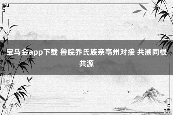 宝马会app下载 鲁皖乔氏族亲亳州对接 共溯同根共源