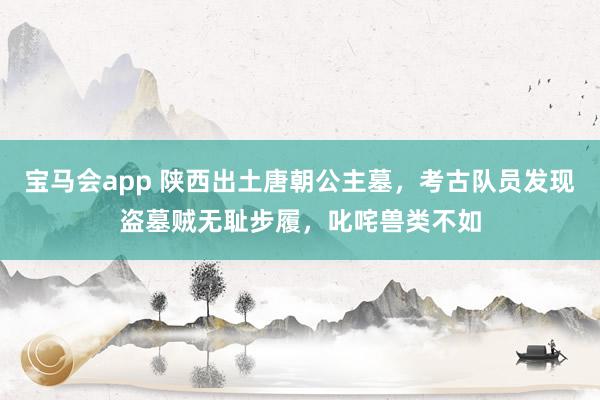 宝马会app 陕西出土唐朝公主墓，考古队员发现盗墓贼无耻步履，叱咤兽类不如
