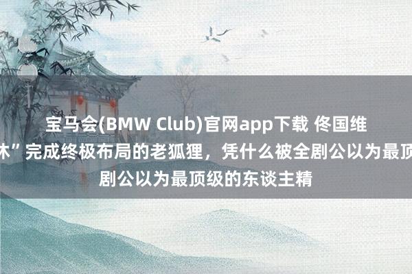 宝马会(BMW Club)官网app下载 佟国维：一个用“退休”完成终极布局的老狐狸，凭什么被全剧公以为最顶级的东谈主精