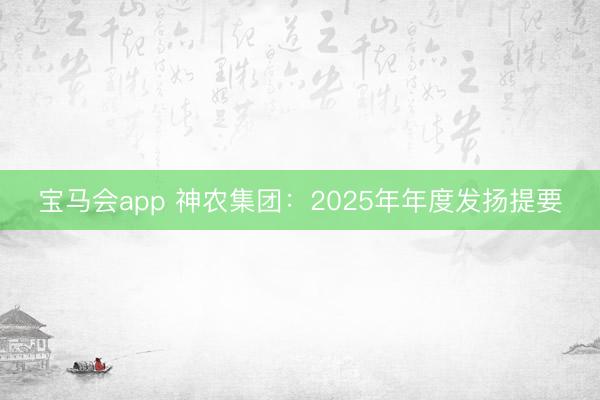 宝马会app 神农集团：2025年年度发扬提要