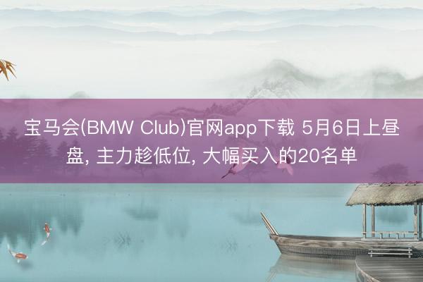 宝马会(BMW Club)官网app下载 5月6日上昼盘， 主力趁低位， 大幅买入的20名单