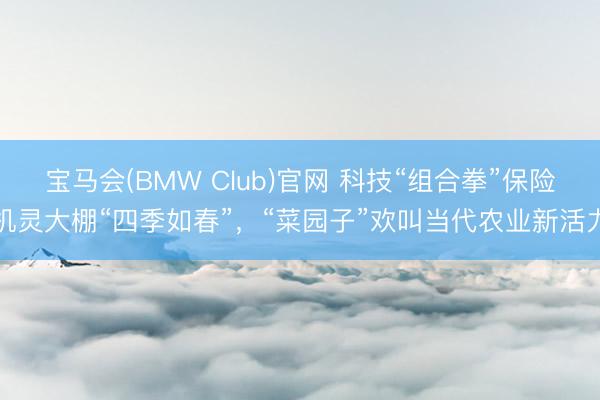 宝马会(BMW Club)官网 科技“组合拳”保险机灵大棚“四季如春”，“菜园子”欢叫当代农业新活力