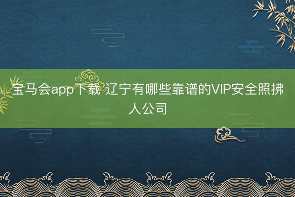 宝马会app下载 辽宁有哪些靠谱的VIP安全照拂人公司